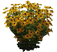 Pflanze - Gratis animeret GIF