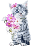 Cat, Kitten with Flowers - zdarma png
