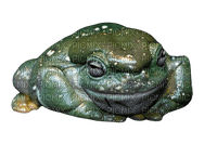 david clode big head frog - ücretsiz png