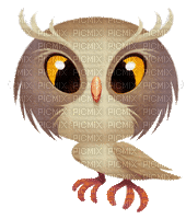 owl bp - Бесплатный анимированный гифка