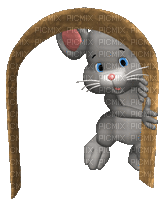 ani- mus-råtta-djur - Ingyenes animált GIF