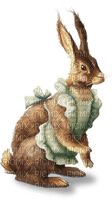 lapin - δωρεάν png