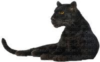 black panther bp - ilmainen png