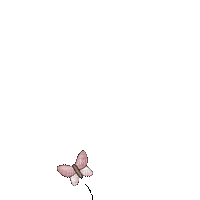 Kaz_Creations Animated Butterfly - Ilmainen animoitu GIF
