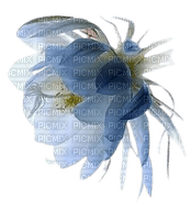 fleur bleu - 免费PNG