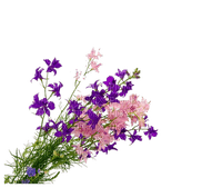 Floral Bouquets 02 PNG - gratis png