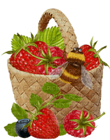 Früchtekorb mit Biene - png gratis