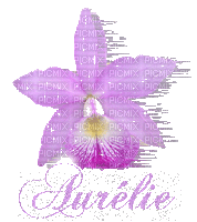 Aurélie - 無料のアニメーション GIF