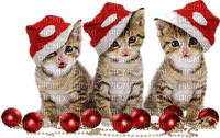 Kaz_Creations  Cats Kittens  Cat Kitten Christmas - bezmaksas png
