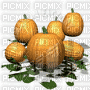 citrouilles - Darmowy animowany GIF