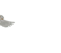 Owl Flying - GIF animasi gratis