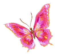 Butterfly.Pink.Yellow.Orange - By KittyKatLuv65 - Ilmainen animoitu GIF
