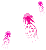 Jellyfish.Pink - PNG gratuit