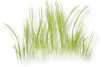 soave deco grass spring green - ilmainen png