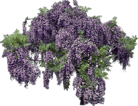 spring trees bp - 免费PNG