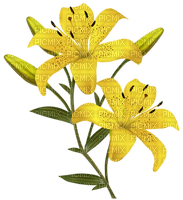 fleur jaune.Cheyenne63 - 無料png