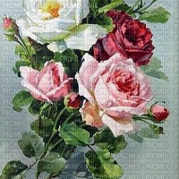 Rosen roses valentin valentine - Free PNG