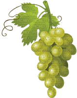 Weintrauben, hell, grapes - gratis png