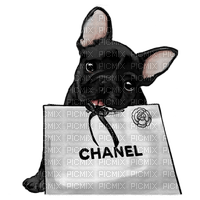 chien coco chanel - δωρεάν png