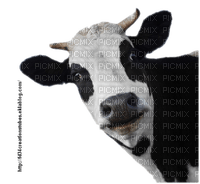 vaca - бесплатно png