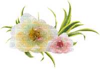 pink-yellow flowers-minou52 - nemokama png