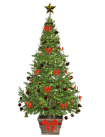 joulu, christmas - besplatni png