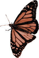 BUTTERFLY! - png gratis