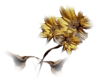 fleur dorée .Cheyenne63 - Free PNG