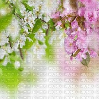 Kaz_Creations Backgrounds Background  Flowers - zadarmo png