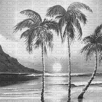 soave background animated summer tropical beach - Free animated GIF