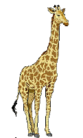 Giraffe bp - 免费动画 GIF