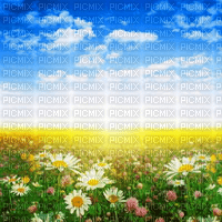 Y.A.M._Summer background flowers - Free PNG