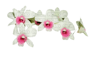 flower,fleur - PNG gratuit