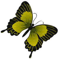 Butterfly- pages -2 - ücretsiz png