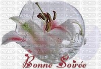 BONNE SOIREE - ücretsiz png