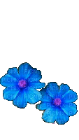 Цветок - Ingyenes animált GIF