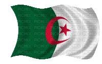 Drapeau Algérien - Zdarma animovaný GIF