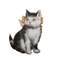 gato vintage  dubravka4 - png gratuito