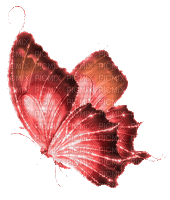 Y.A.M._Fantasy butterfly red - Ingyenes animált GIF