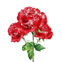 Розы - ingyenes png