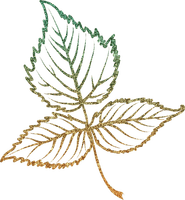 leaf Bb2 - png grátis