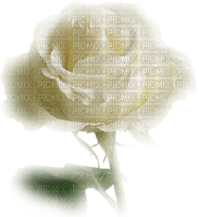 image encre fleur coin anniversaire mariage edited by me - Free PNG