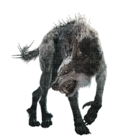 Rampage Wolf - PNG gratuit