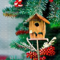 Tree Branches and Tiny House - png gratis