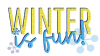 Winter is fun.Text.Victoriabea - PNG gratuit