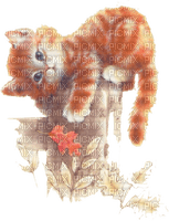 autumn,кот,Karina - Free PNG