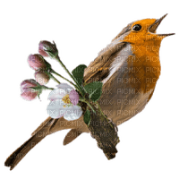 Spring Bird - Free PNG