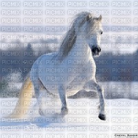 Cheval dans la neige - png grátis