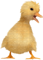 Kaz_Creations Deco Easter Chick - 免费PNG