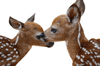 Kaz_Creations Deer - PNG gratuit